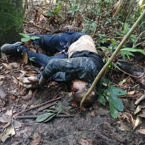 Segundo corpo é encontrado em área de mata no Tarumã e aumenta preocupação de moradores